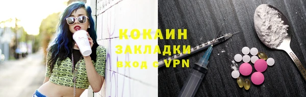 дурь Инта