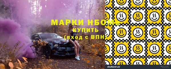 дурь Инта
