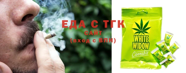 дурь Инта