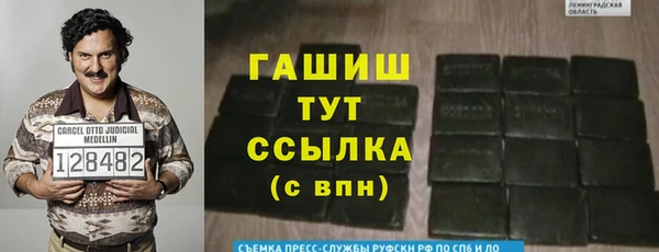 дурь Инта