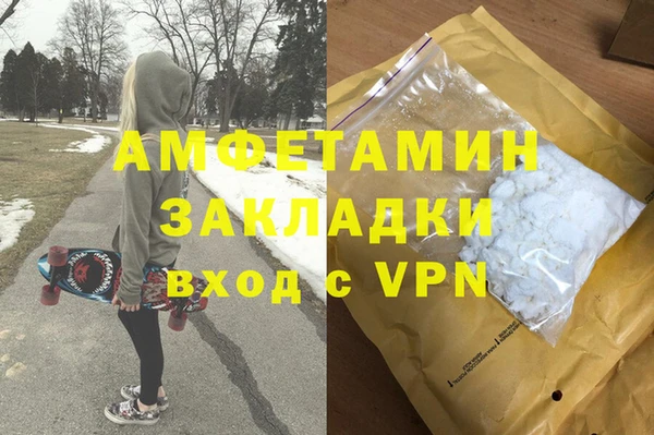 дурь Инта