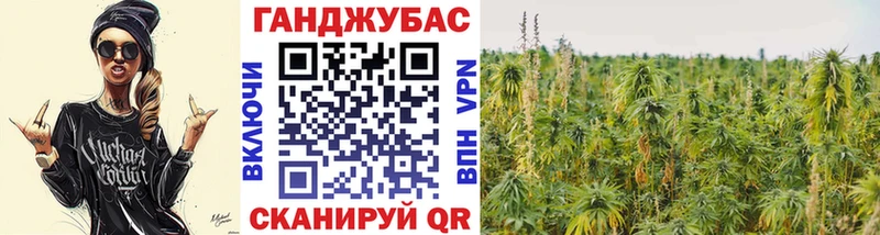 Купить закладки  Томмот  Шишки марихуана Amnesia 